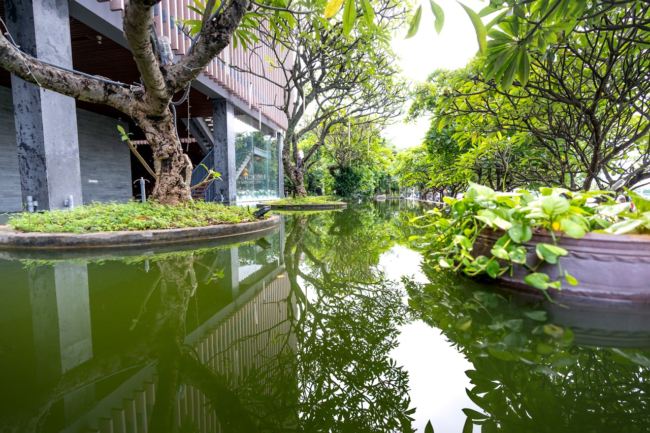 Home Lush garden with water reflections near a modern building, offering a serene outdoor oasis.